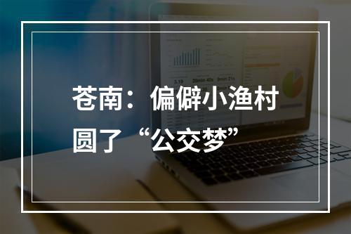 苍南：偏僻小渔村圆了“公交梦”