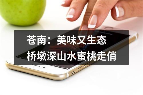 苍南：美味又生态 桥墩深山水蜜桃走俏
