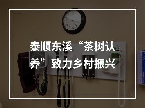 泰顺东溪“茶树认养”致力乡村振兴