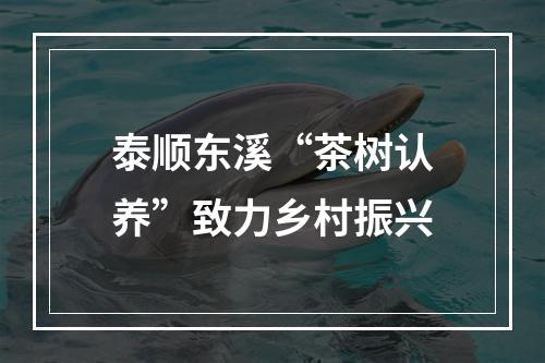 泰顺东溪“茶树认养”致力乡村振兴