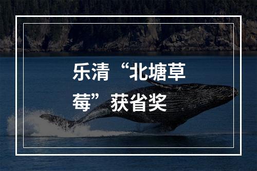乐清“北塘草莓”获省奖