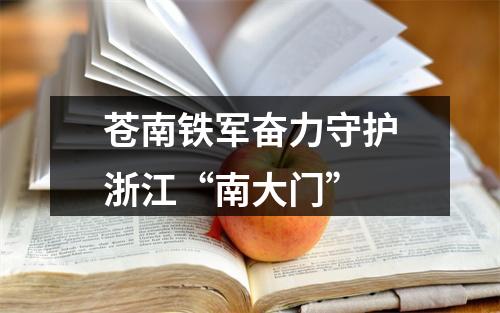 苍南铁军奋力守护浙江“南大门”