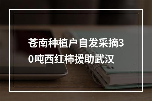 苍南种植户自发采摘30吨西红柿援助武汉