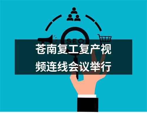 苍南复工复产视频连线会议举行