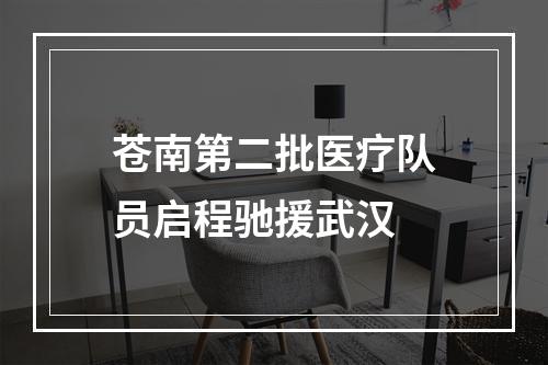 苍南第二批医疗队员启程驰援武汉