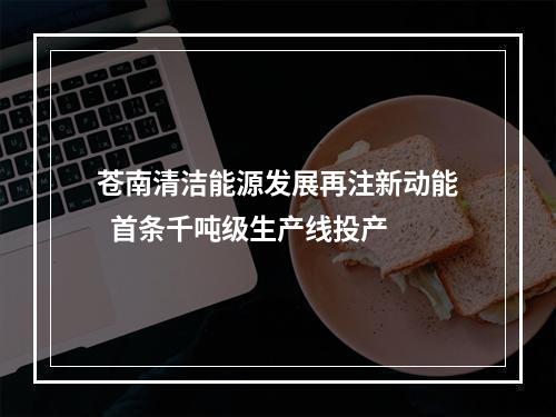 苍南清洁能源发展再注新动能  首条千吨级生产线投产
