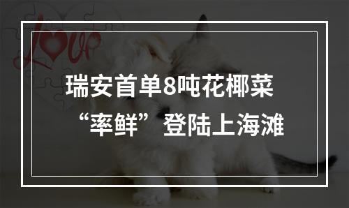 瑞安首单8吨花椰菜“率鲜”登陆上海滩