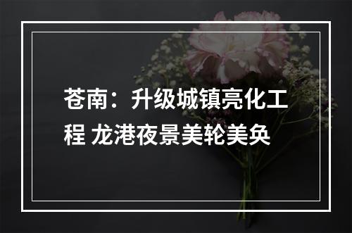 苍南：升级城镇亮化工程 龙港夜景美轮美奂