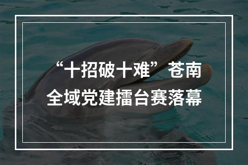 “十招破十难”苍南全域党建擂台赛落幕