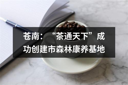 苍南：“茶通天下”成功创建市森林康养基地