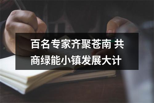百名专家齐聚苍南 共商绿能小镇发展大计