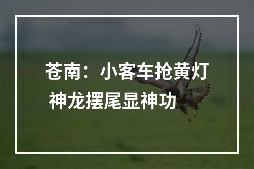 苍南：小客车抢黄灯 神龙摆尾显神功