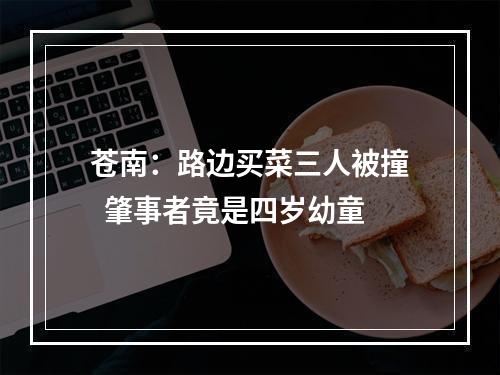 苍南：路边买菜三人被撞  肇事者竟是四岁幼童