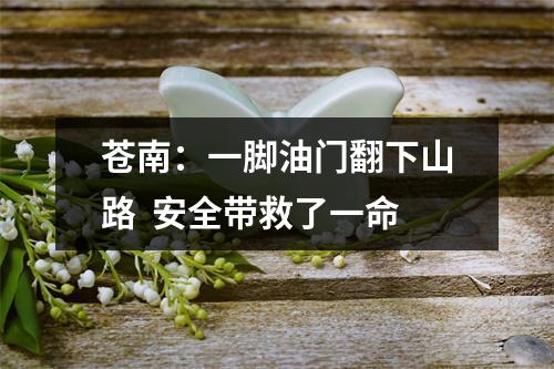 苍南：一脚油门翻下山路  安全带救了一命