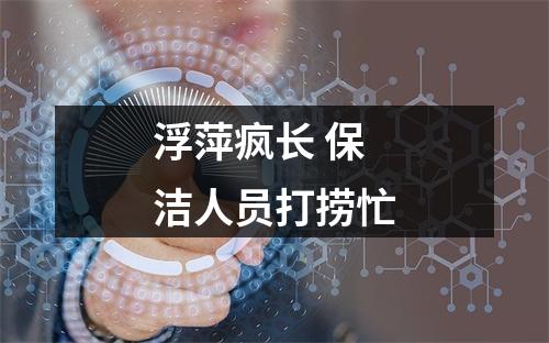浮萍疯长 保洁人员打捞忙