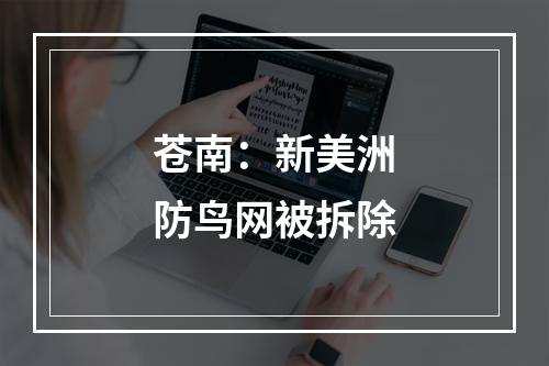 苍南：新美洲防鸟网被拆除