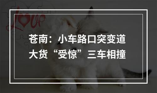 苍南：小车路口突变道 大货“受惊”三车相撞