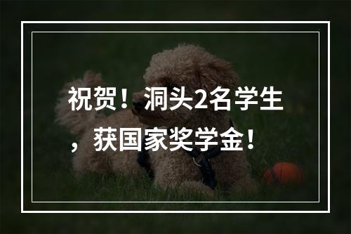 祝贺！洞头2名学生，获国家奖学金！