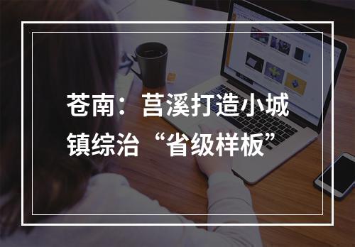 苍南：莒溪打造小城镇综治“省级样板”