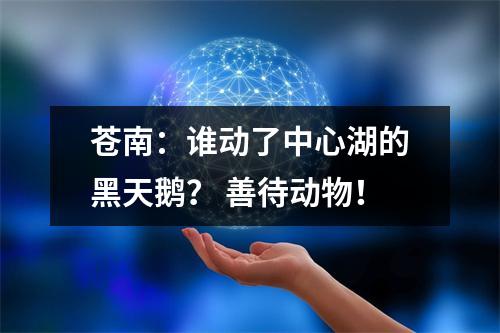 苍南：谁动了中心湖的黑天鹅？ 善待动物！