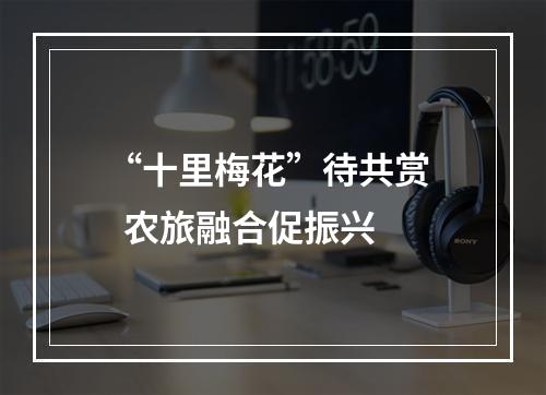 “十里梅花”待共赏   农旅融合促振兴