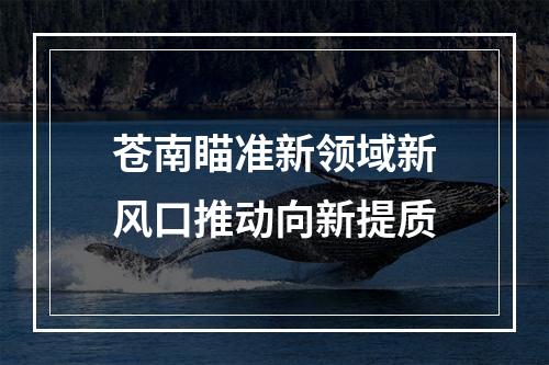 苍南瞄准新领域新风口推动向新提质