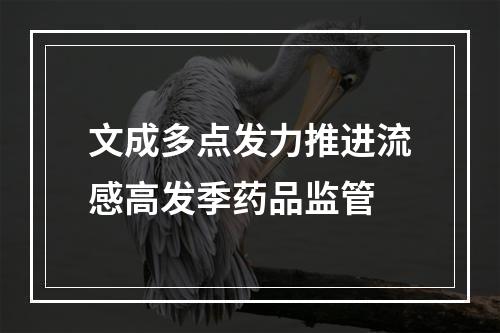 文成多点发力推进流感高发季药品监管