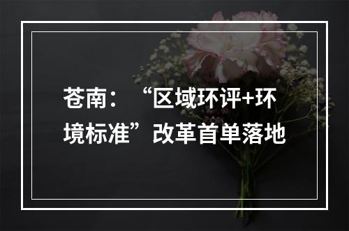苍南：“区域环评+环境标准”改革首单落地