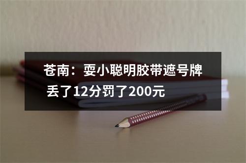 苍南：耍小聪明胶带遮号牌 丢了12分罚了200元