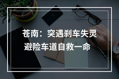 苍南：突遇刹车失灵 避险车道自救一命
