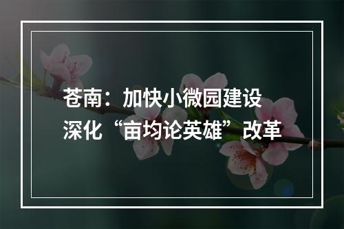 苍南：加快小微园建设 深化“亩均论英雄”改革