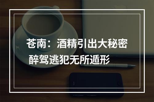 苍南：酒精引出大秘密 醉驾逃犯无所遁形