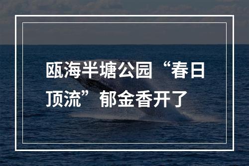 瓯海半塘公园“春日顶流”郁金香开了