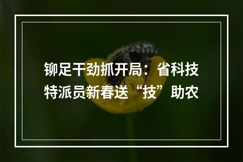 铆足干劲抓开局：省科技特派员新春送“技”助农