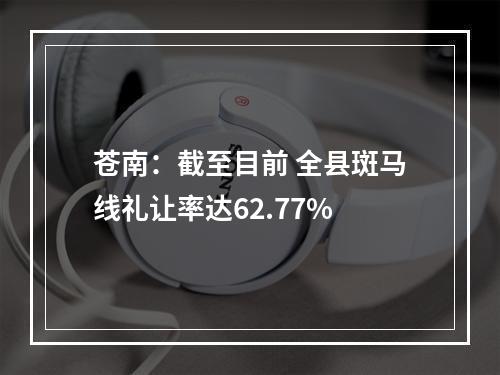 苍南：截至目前 全县斑马线礼让率达62.77%