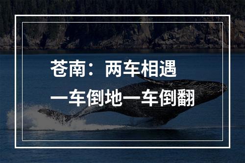 苍南：两车相遇 一车倒地一车倒翻