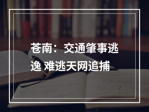 苍南：交通肇事逃逸 难逃天网追捕