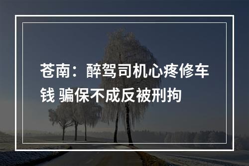 苍南：醉驾司机心疼修车钱 骗保不成反被刑拘