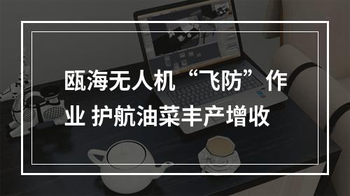 瓯海无人机“飞防”作业 护航油菜丰产增收