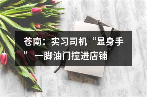 苍南：实习司机“显身手” 一脚油门撞进店铺