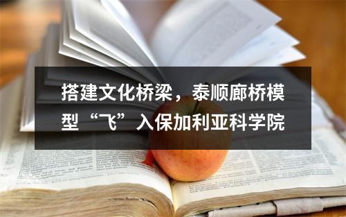 搭建文化桥梁，泰顺廊桥模型“飞”入保加利亚科学院