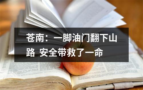 苍南：一脚油门翻下山路  安全带救了一命
