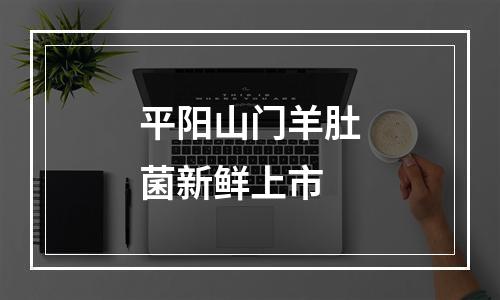 平阳山门羊肚菌新鲜上市