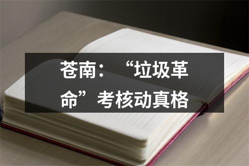苍南：“垃圾革命”考核动真格