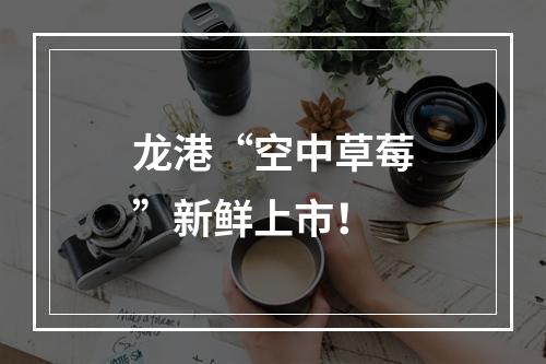 龙港“空中草莓”新鲜上市！