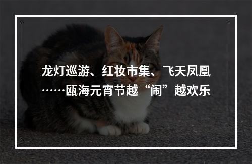 龙灯巡游、红妆市集、飞天凤凰……瓯海元宵节越“闹”越欢乐