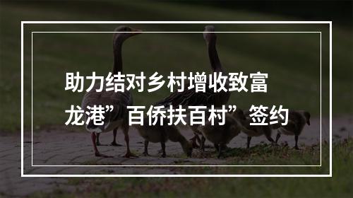 助力结对乡村增收致富 龙港”百侨扶百村”签约