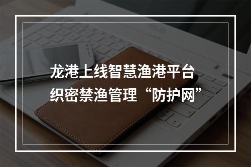 龙港上线智慧渔港平台 织密禁渔管理“防护网”