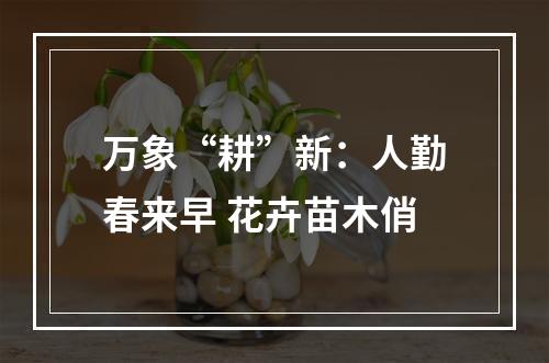 万象“耕”新：人勤春来早 花卉苗木俏
