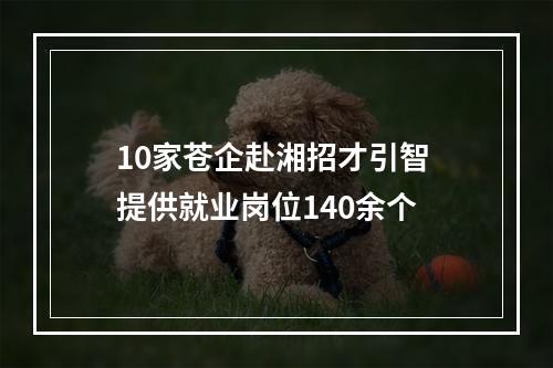 10家苍企赴湘招才引智 提供就业岗位140余个